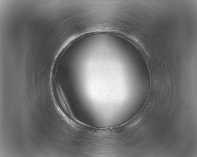 X0000052971422200508051003