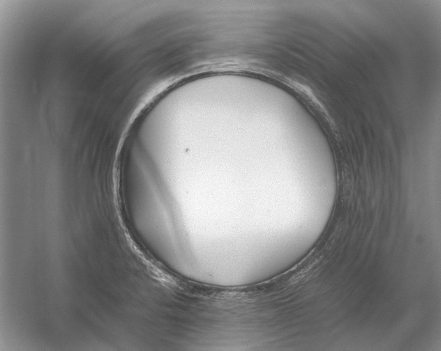 X0000052971424200508051003