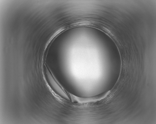 X0000052971426200508051003