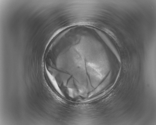 X0000052971428200508051003