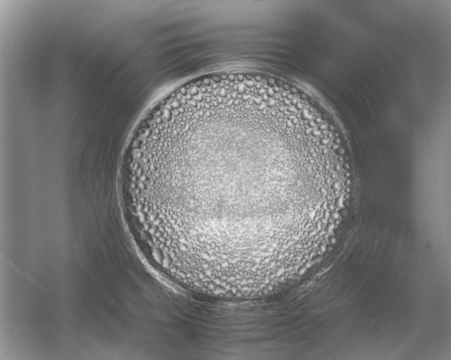 X0000052971429200508051003