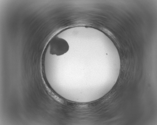 X0000052971431200508051003