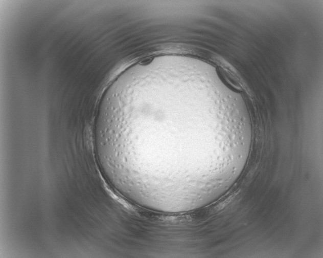 X0000052971433200508051003