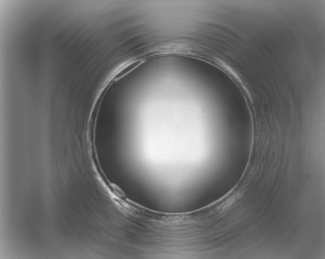 X0000052971434200508051003