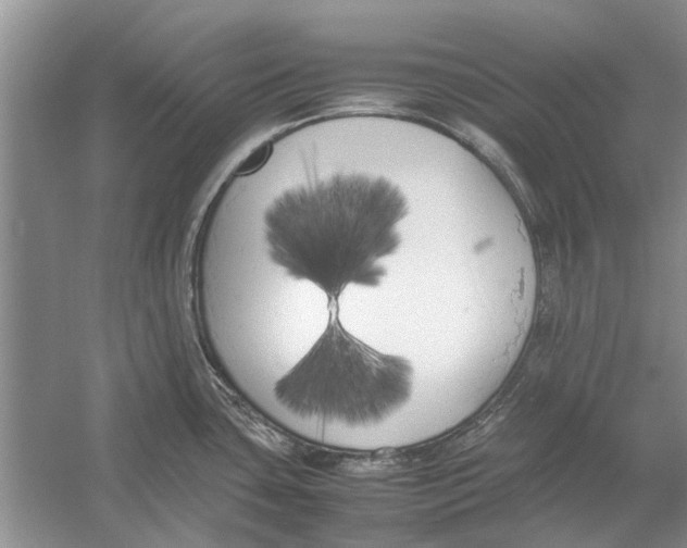 X0000052971435200508051003