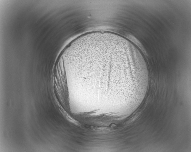 X0000052971436200508051003