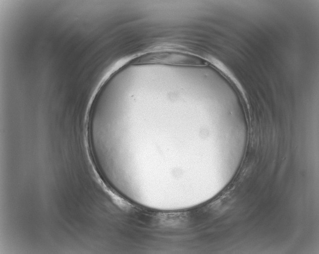 X0000052971437200508051003