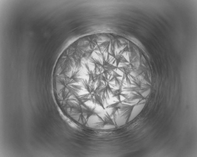 X0000052971439200508051003