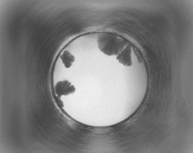 X0000052971440200508051003