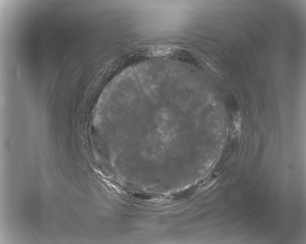 X0000052971441200508051002