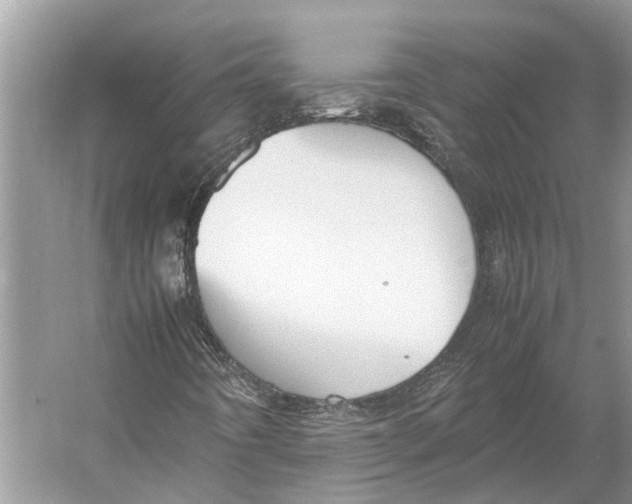 X0000052971442200508051002