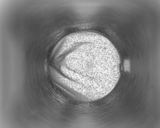 X0000052971444200508051002