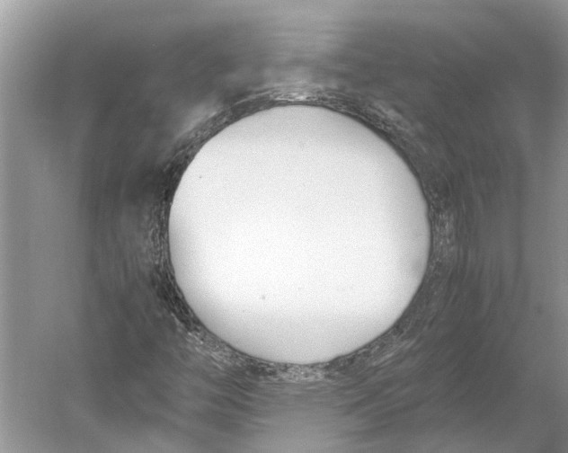 X0000052971446200508051002