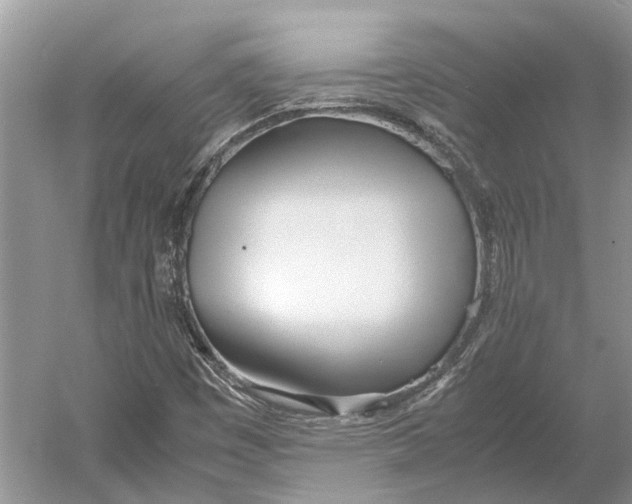 X0000052971449200508051002