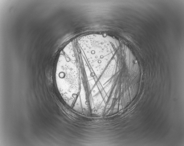 X0000052971451200508051002