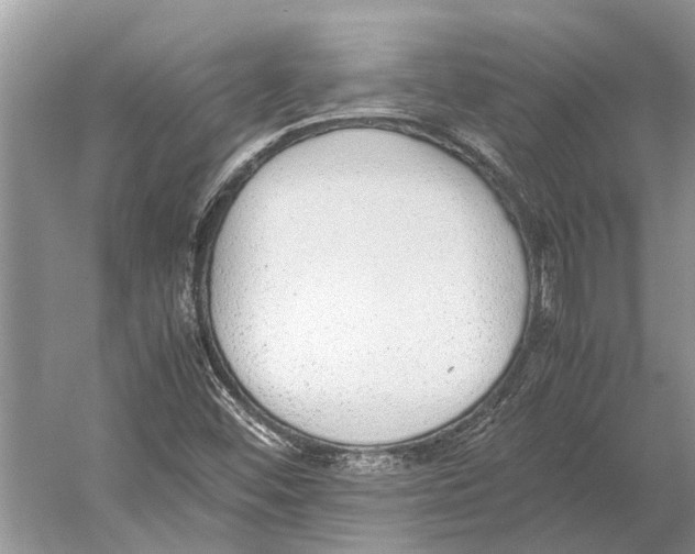 X0000052971452200508051002