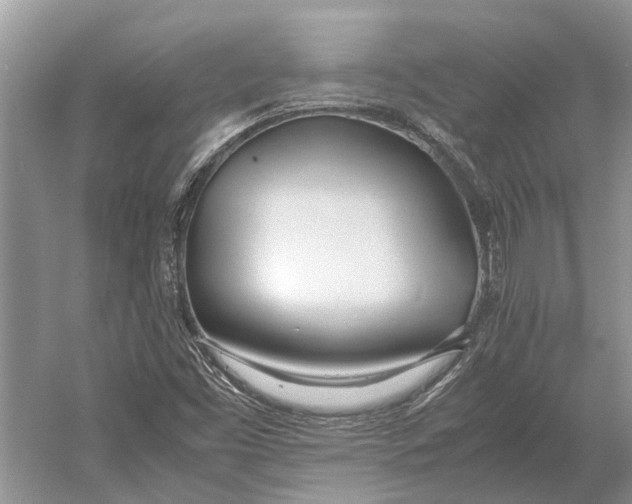 X0000052971453200508051002