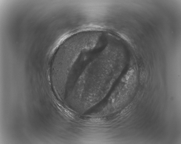 X0000052971455200508051002