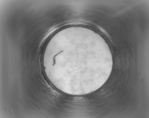 X0000052971456200508051002