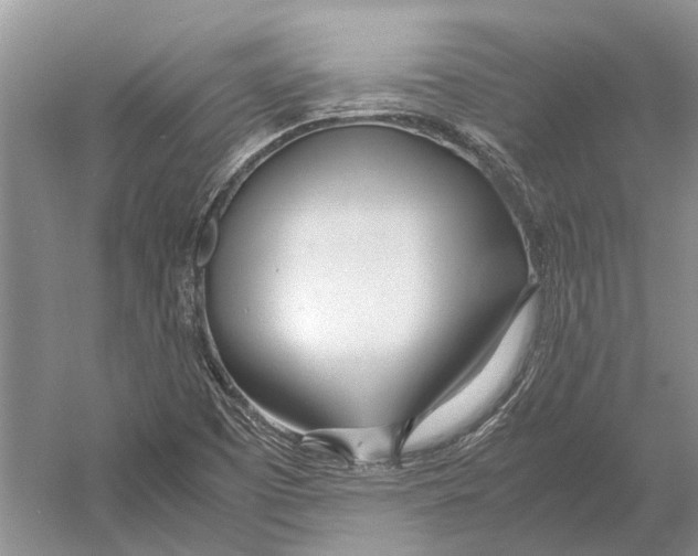 X0000052971457200508051002