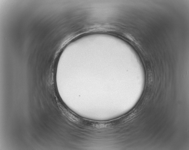 X0000052971459200508051002