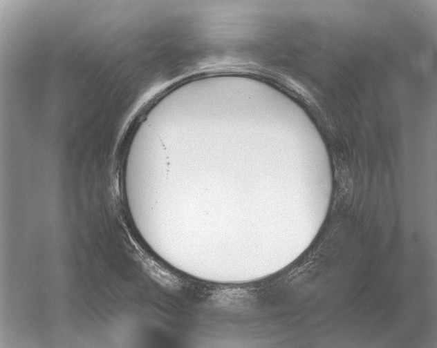 X0000052971462200508051002