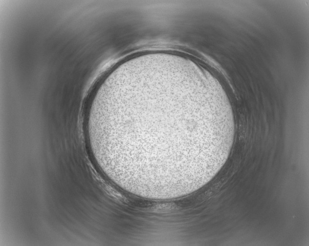 X0000052971464200508051002