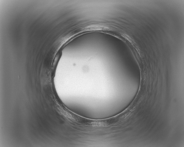 X0000052971465200508051002