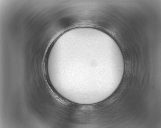 X0000052971466200508051002