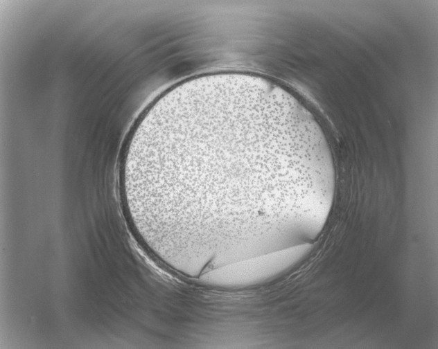 X0000052971468200508051002