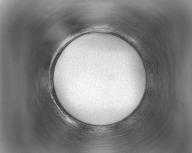 X0000052971470200508051002