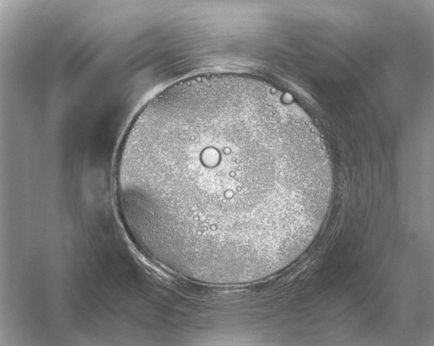 X0000052971471200508051002