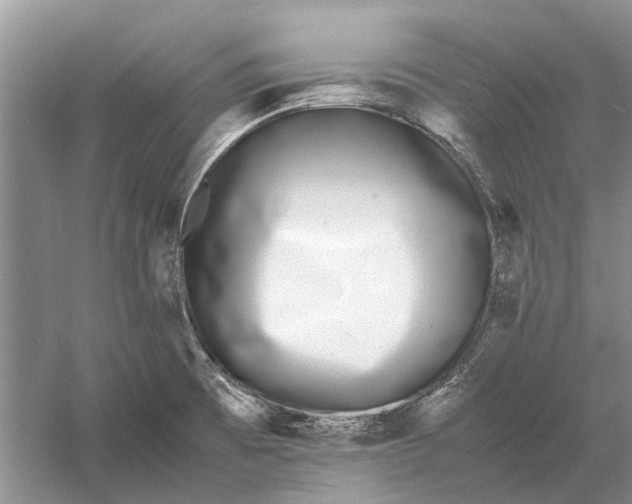 X0000052971473200508051001