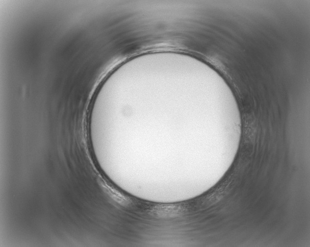 X0000052971474200508051001