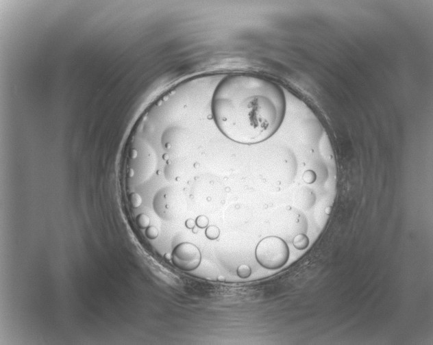 X0000052971475200508051001