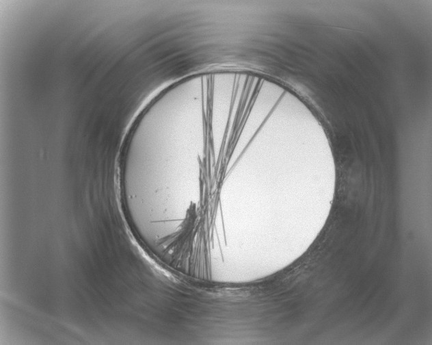 X0000052971476200508051001