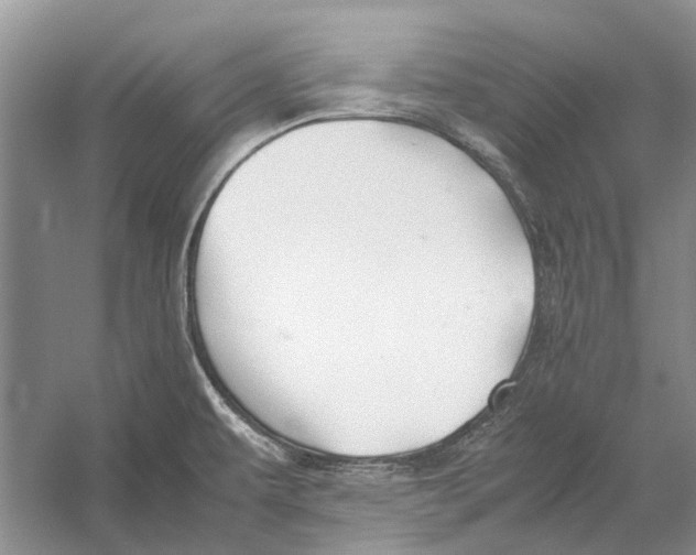 X0000052971479200508051001