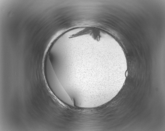 X0000052971480200508051001