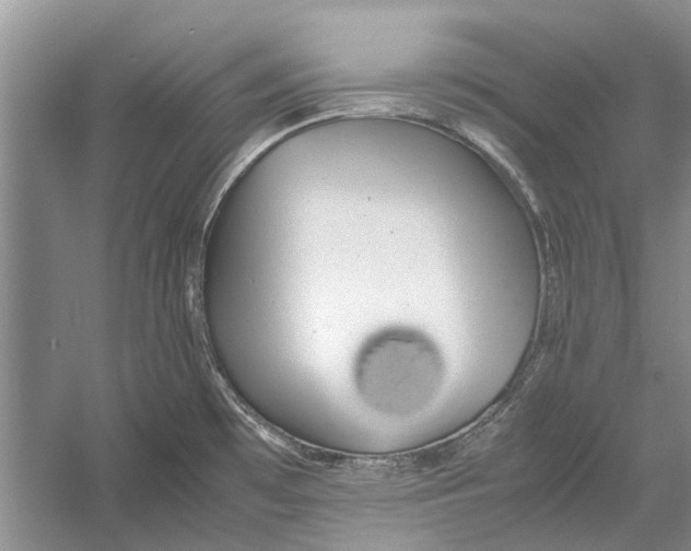 X0000052971481200508051001