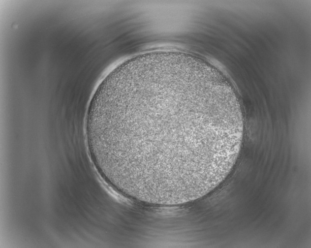 X0000052971482200508051001