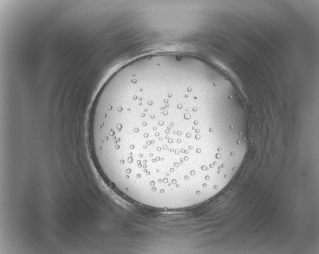 X0000052971483200508051001