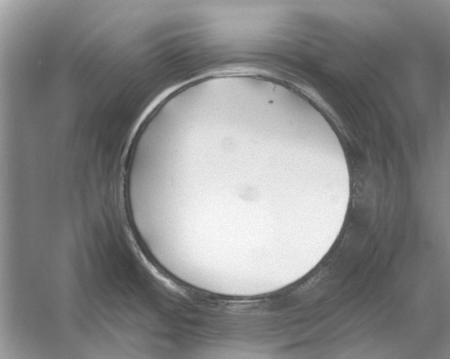 X0000052971484200508051001