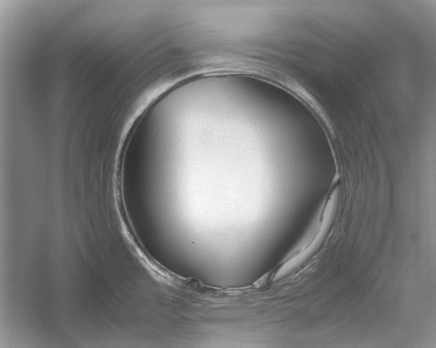 X0000052971485200508051001