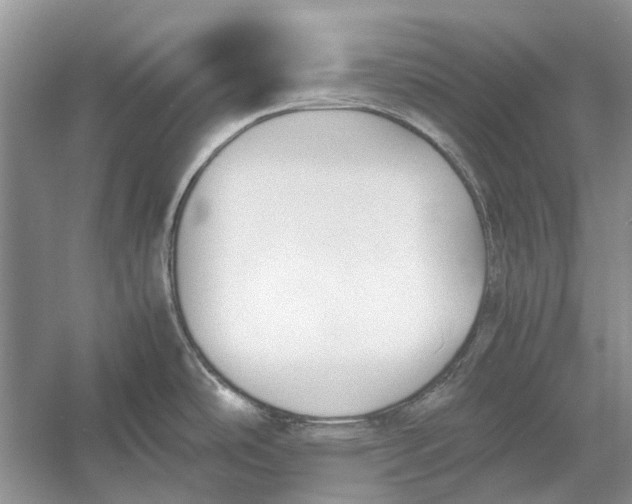 X0000052971486200508051001