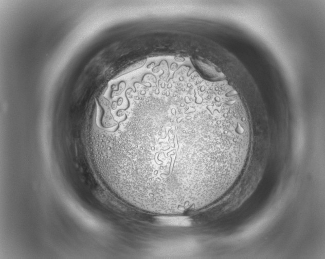 X0000052971487200508051001