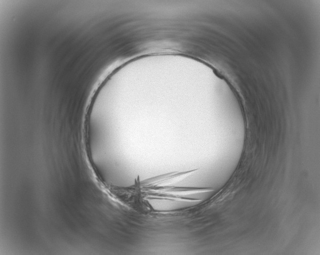 X0000052971488200508051001