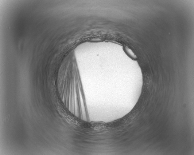 X0000052971489200508051000