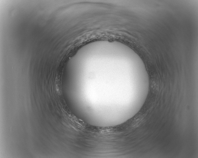 X0000052971490200508051000