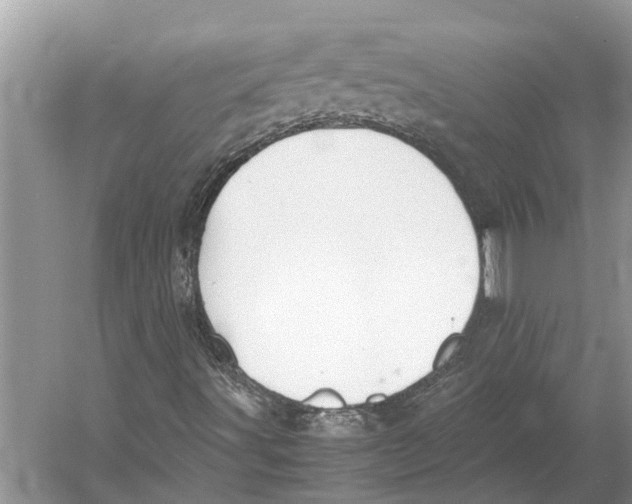 X0000052971491200508051000