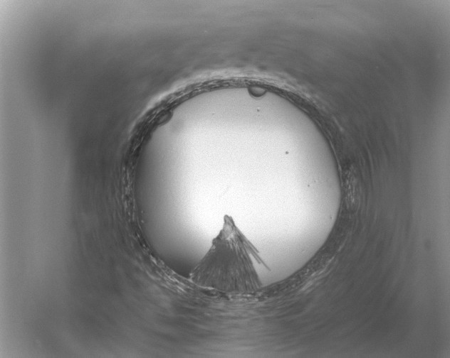 X0000052971494200508051000